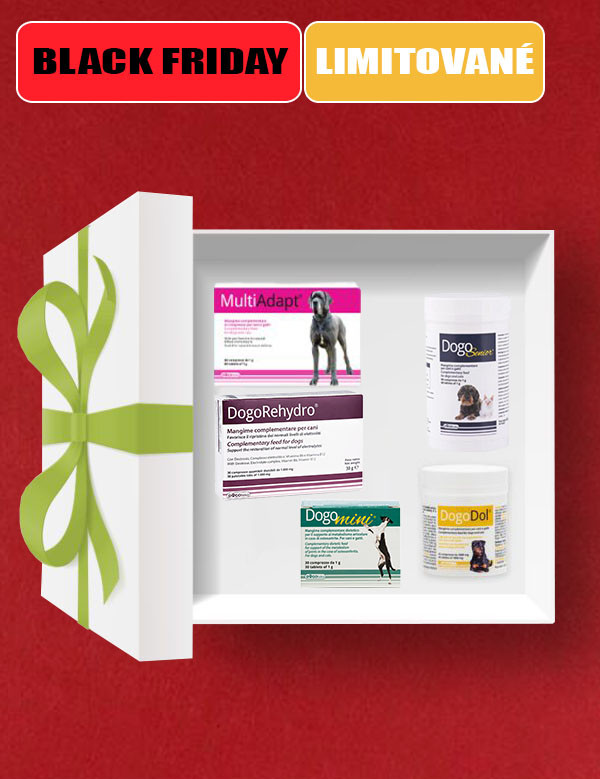 1763568112BF Box miny senior.jpg